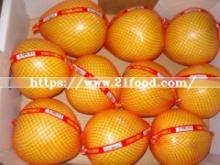 New Chinese Exporting Standard Fresh Honey Pomelo