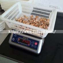 Hot Sell Frozen Boiled Mussel Meat New Season Mytilus Edulis