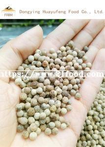 100% Quality Pepper Seeds/White Pepper