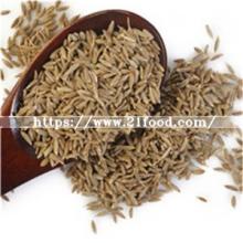 2019 Top Quality Good Price Cumin Seeds for Sale