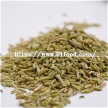 Chinese Specialty Natural Fennel Seeds