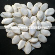 8-10cm High Quality Snow White Pumpkin Seeds