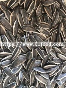 Hot Sales Sunflower Seeds 363