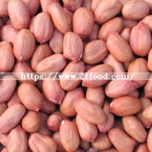 New Crop High Quality Export Blanched Peanut Kernels