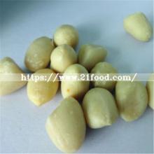 Shandong Groundnut Blanched Peanut (25/29, 29/33, 35/39, 41/51/51/61)