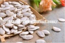 Hot Sale Snow White Pumpkin Seed New Crop