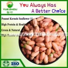 Shandong Luhua 11 Peanuts Red Skin Peanut Kernels for Hot Sale