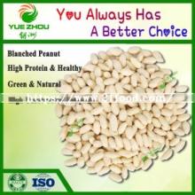 Cheap Peanut Kernal Blanched Peanut From China with Price