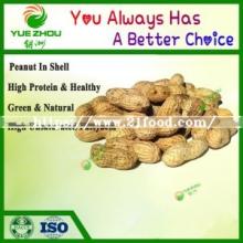 Top Quality Raw Peanut in Shell with Cheap Price