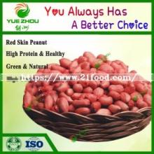 Silihong 60/70 Red Skin Peanuts Kernerls From China with Price