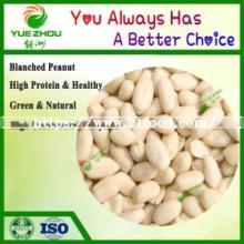 Supplier of Natural Peanut Blanched Peanut Kernel with Good Price