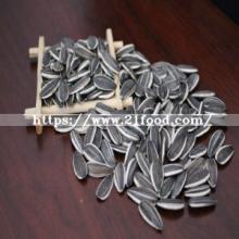 Wholesale Sunflower Seed of 3939 From Inner Mongolia Origin