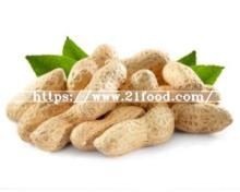 New Crop 2018, Peanut in Shell, 9/11, Origin of China