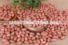 Crop 2018, Roasted Spicy Peanut in Shell, 9/11 From China