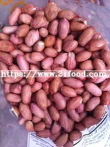 Crop 2018, Roasted Baked Peanut in Shell, 9/11, China