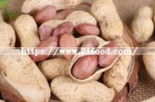 Crop 2018, Shelled Peanut Kernel 24/28, China