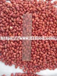 New Crop 2018, Roasted Peanut in Shell, 9/11, Origin of China