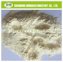 Garlic Powder 80-100mesh Low Heavy Metal Top Quality