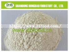 Bestselling 100% Pure Garlic Extract Powder