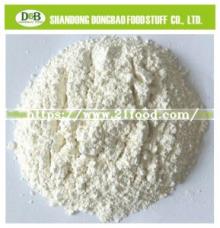 2017 High Purity Top Quality Dried Garlic Powder 100-120mesh
