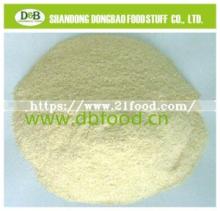 China White Onion Powder Spice Organic for USA Market