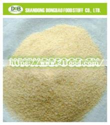 New Season Latest shipment Garlic Granule