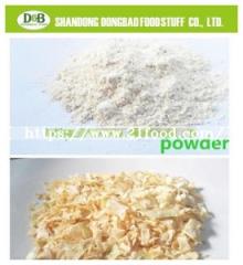 Natural Spice 100% Onion Granule