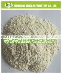 Organic Onion Powder Spice