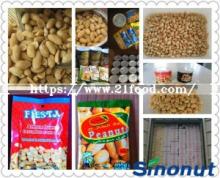 Roasted Salty Peanut in Can 30g/Bag