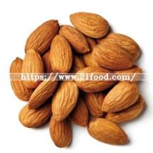 Almond Kernel Nuts Good Taste - Almonds Nuts - Best Prices