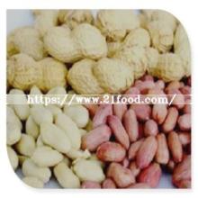 Direct Factory High Quality Different Blanched Peanut Kernel