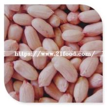 2019 New  Crop   Peanut  Kernel in Sale