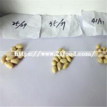 Low Aflatoxin Dongbei Peanut Kernel From China