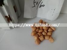 50/60 Chinese Dongbei Style Peanut Kernels (round Type) for Sale