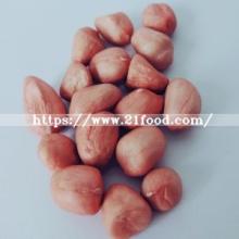 Groundnut High Quality  Raw   Peanut s  Kernel  and  Blanched   Peanut   Kernel  for Sale