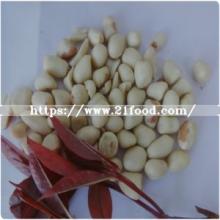 Shandong Wholesale Snack Food Raw Peanut