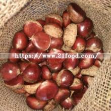 New Crop Chestnut with Gap Certificated