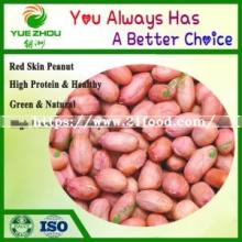 Shandong Cheaper 24/26 Red Skin Peanut with Vacuum Bag