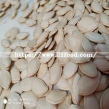 Pumpkin Seed From Inner Mongolia Wholesale