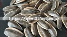 Top Quality Wholesale of  Sunflower   Seeds   China 