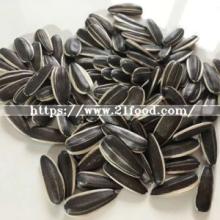 Black Color Sunflower Seed