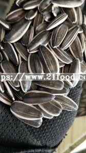 Sunflower  Seeds   Wholesale 