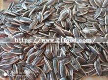 Sunflower Seed