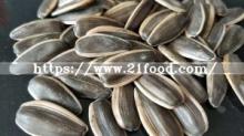Big Size of 361 Sunflower Seed From Bayannaoer City Wuyuan County