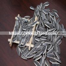 Wholesale of 601 Sunflower Seeds From Inner Mongolia with Best Price