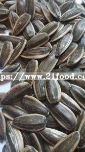 New Crop of Sunflower Seed