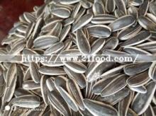 Inner Mongolia Origin Sunflower Seed