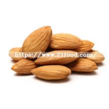 Raw Best Quality Almond Nuts / Organic Bitter Almonds