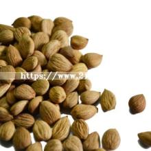 Raw Bitter Almond and Almond Nuts - Sweet Kernels
