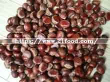 New Crop Fresh Chestnut of China (30-40, 40-50, 50-60, 40-60, 60-80)